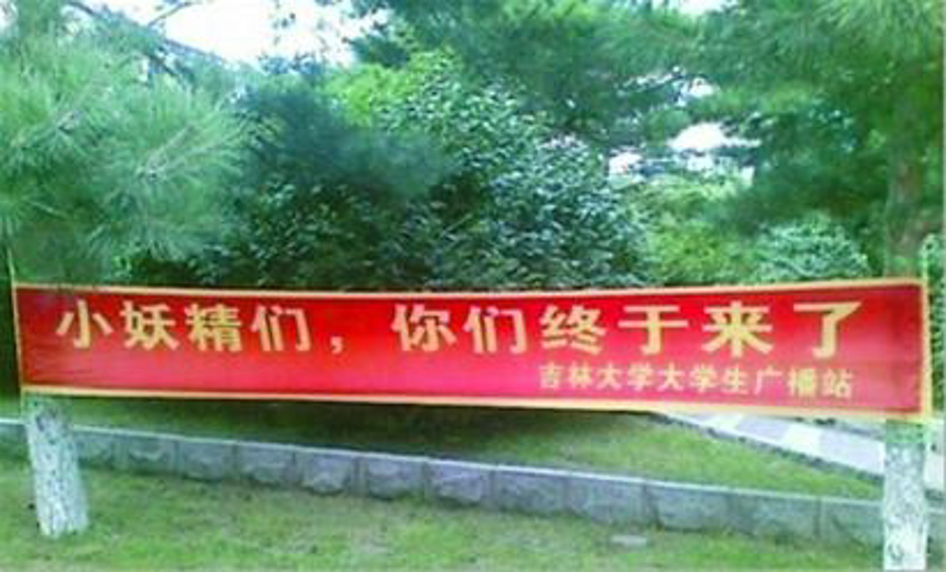 如成网络